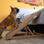 Dog Stairs for Bed